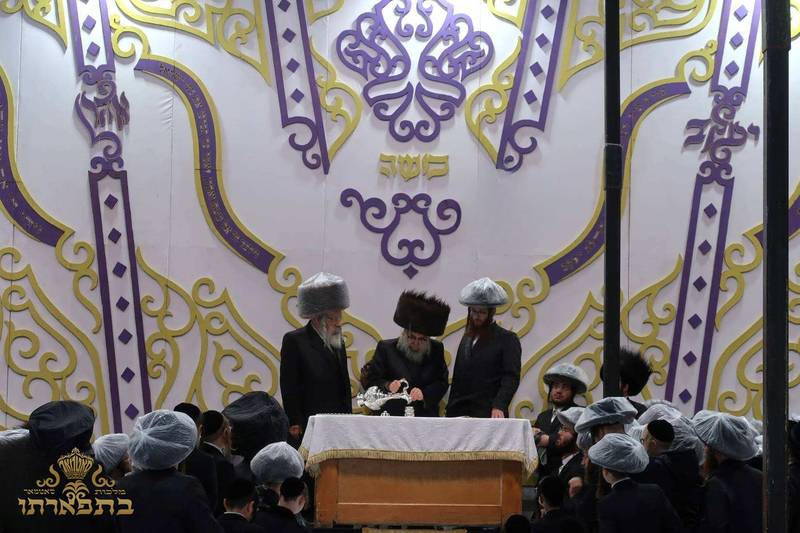 סוכה וואנט — פרטים